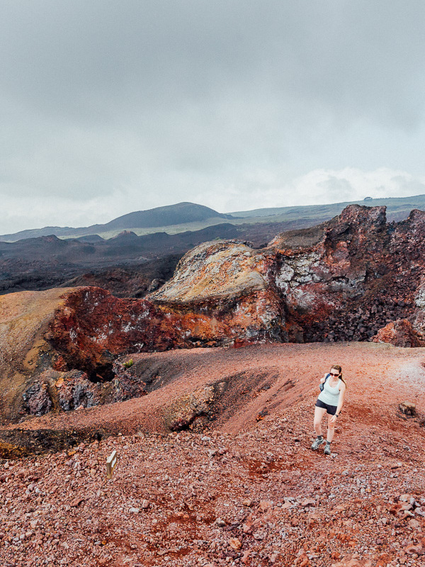 Galapagos-Sierra-Negra-Volcano-62-of-72-June-15 (1) travel-landscape-08